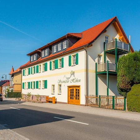 Staimicher Hoehen - Premium Appartements Kurort Steinbach-Hallenberg Kültér fotó